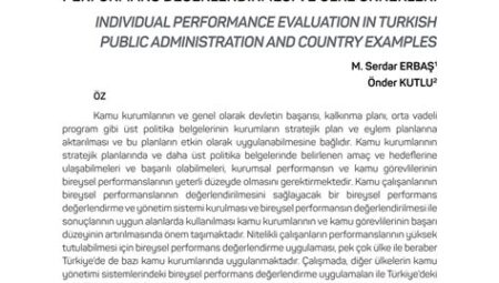 Bireysel Performans Değerlendirmesi